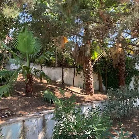 Yagmur Ula